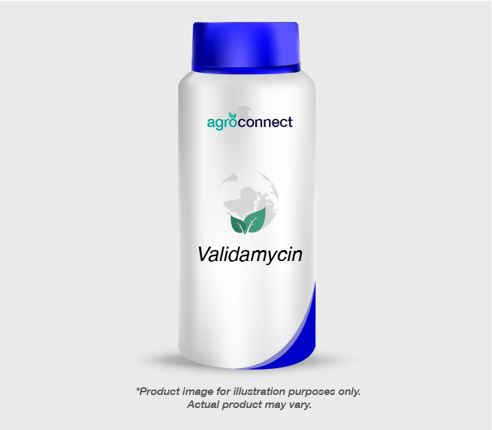 1551685329.Validamycin-04.jpg